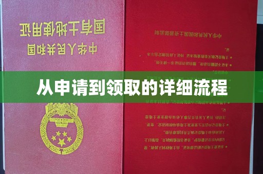 新干从申请到领取的详细流程